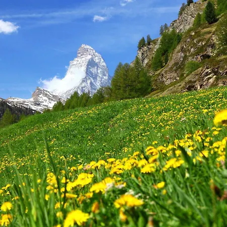 Mirador-5 By Interhome Zermatt